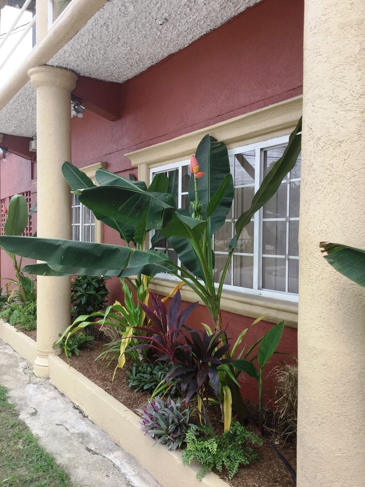 Inn Flight Suites Piarco Εξωτερικό φωτογραφία
